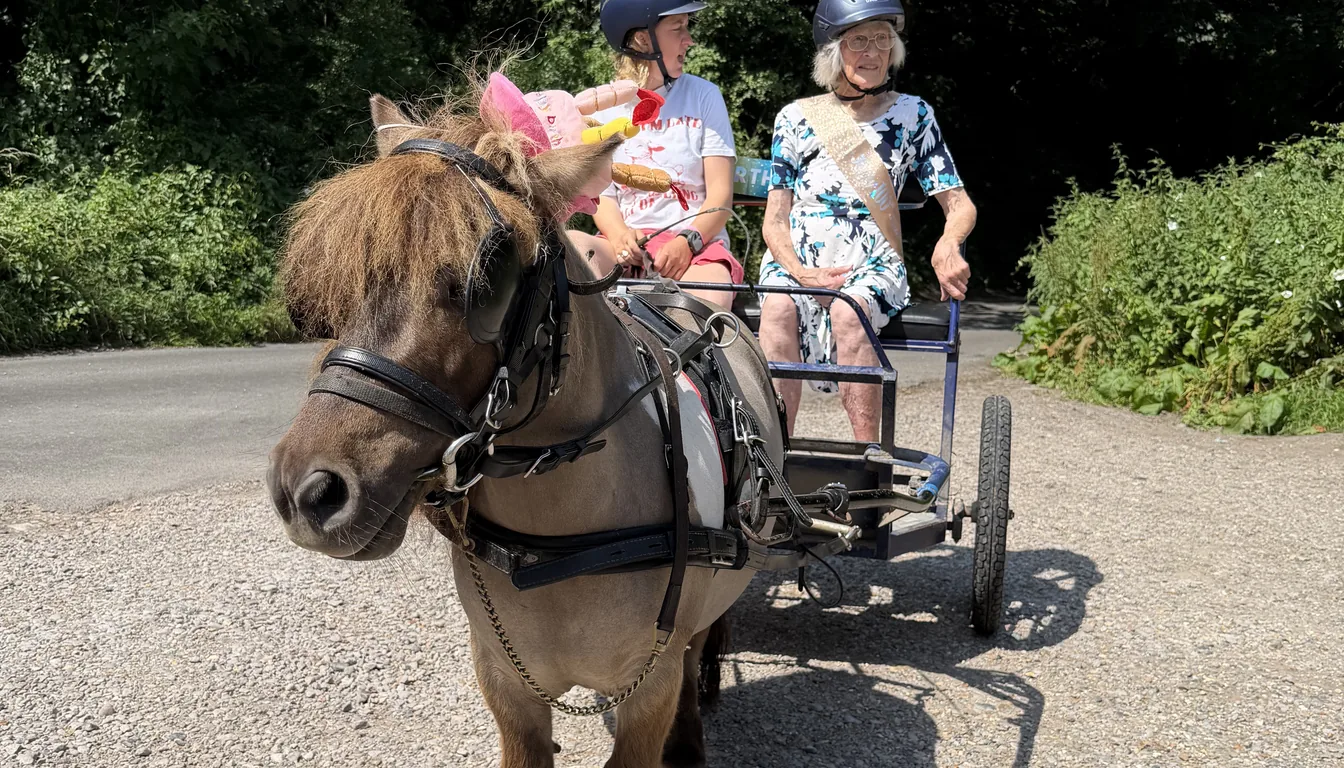 Dot, celebrating her 100th birthday, rides in a small blue pony chariot beside the driver on a tree-lined lane in West Sussex, with a miniature Shetland pony — wearing a pink birthday hat — harnessed at the front. Both riders wear blue safety helmets and Dot wears a birthday sash.