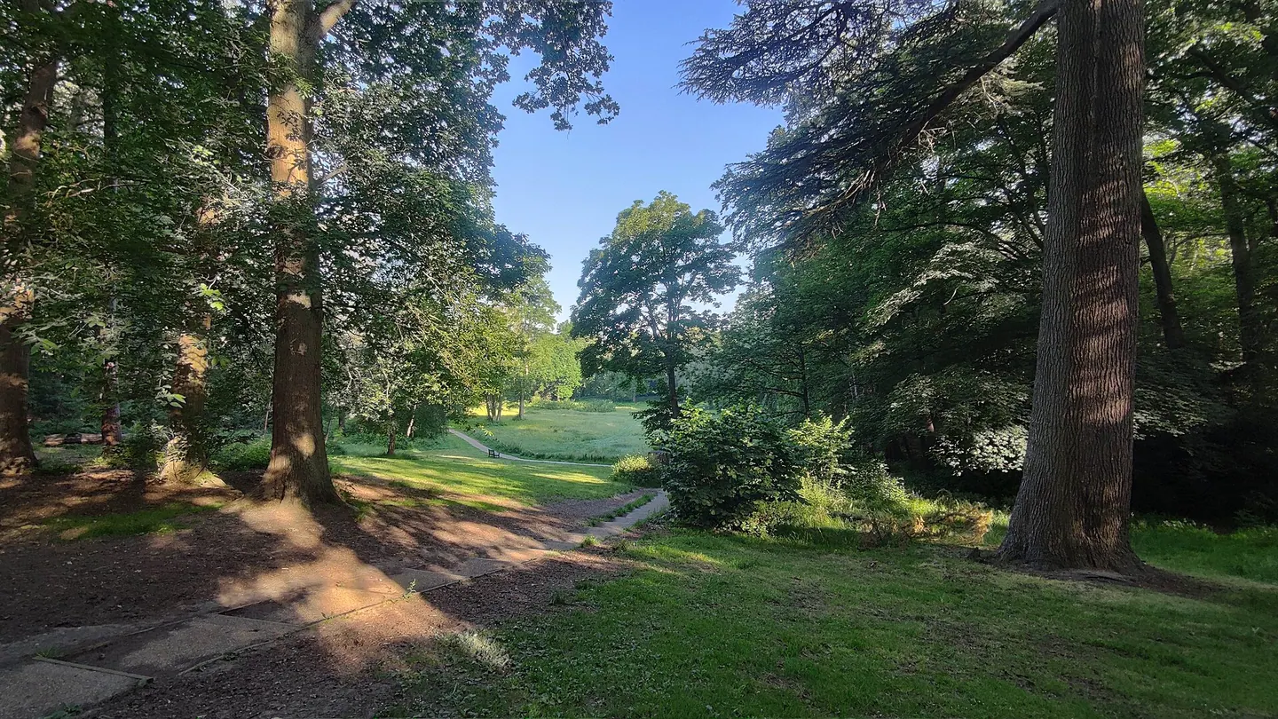 A woodland path through Lily Hill Park, Bracknell
