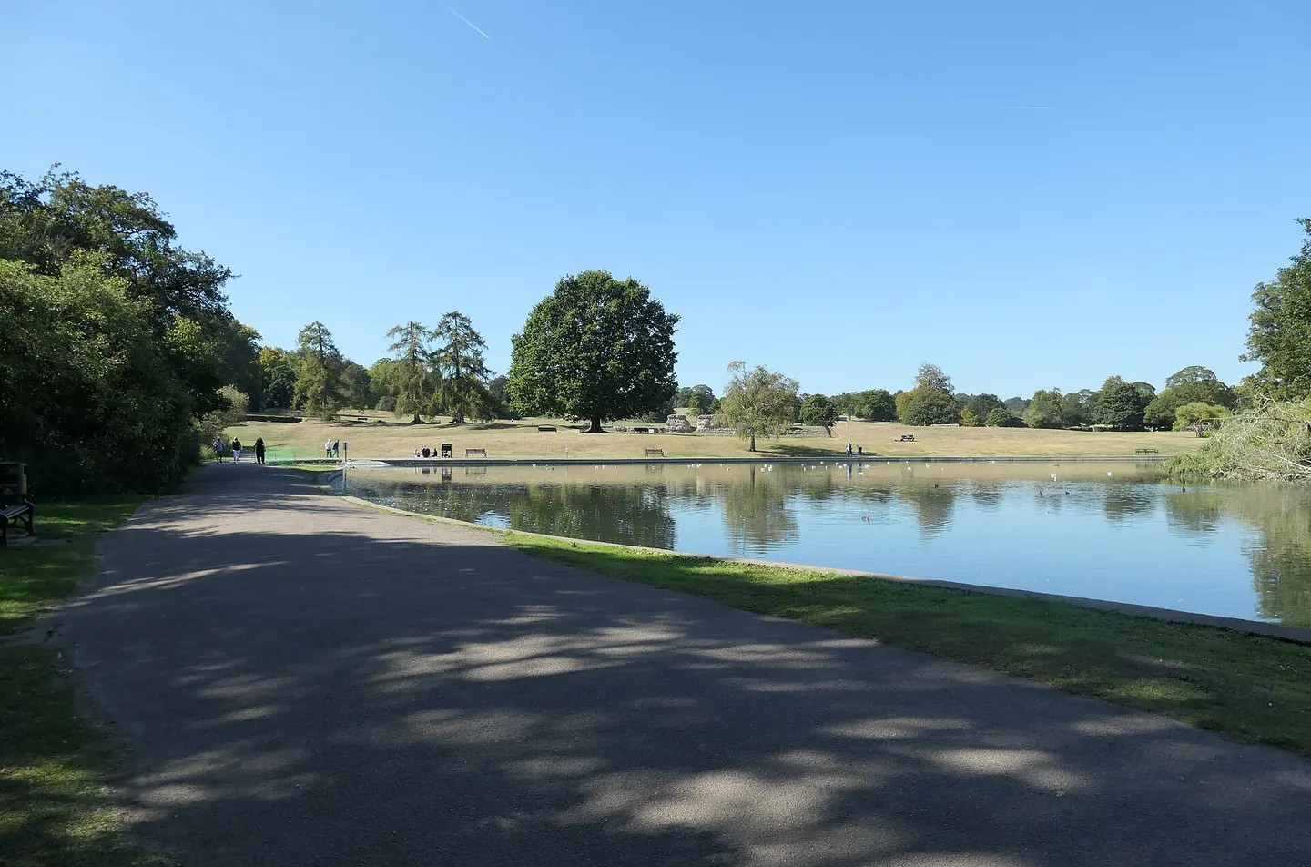 The boating lake and parkland in Verulamium Park, St Albans