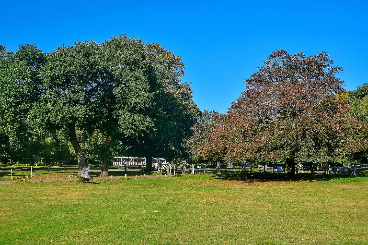 Open parkland in Sutton Park, Sutton Coldfield